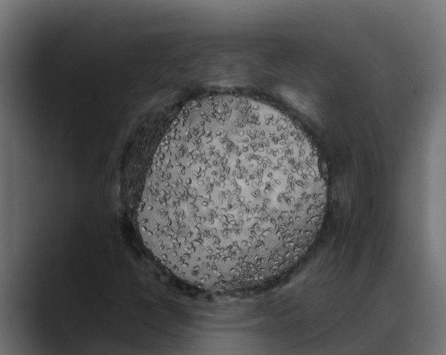 X0000088481398200706191358