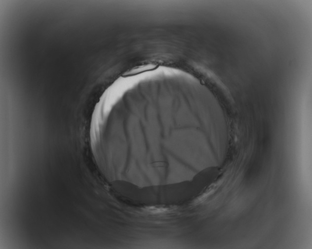 X0000088481399200706191358