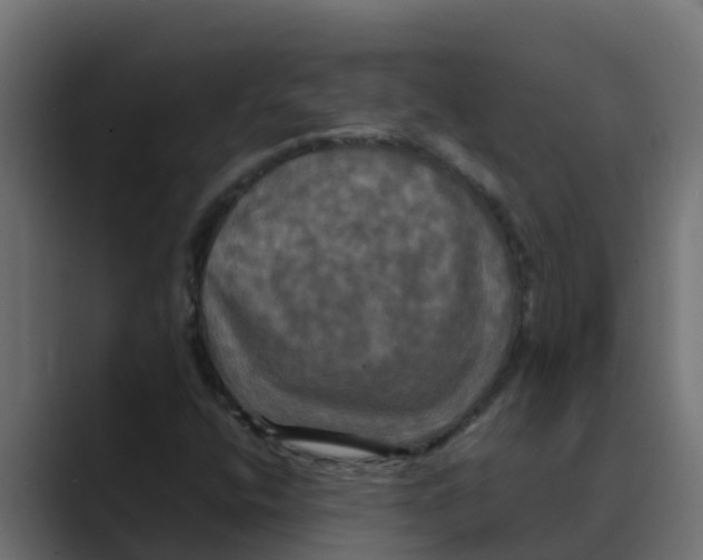 X0000088481400200706191358