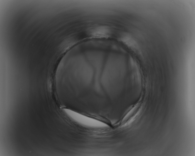 X0000088481401200706191358