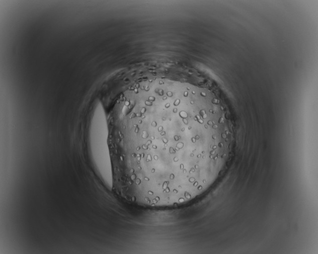 X0000088481402200706191358