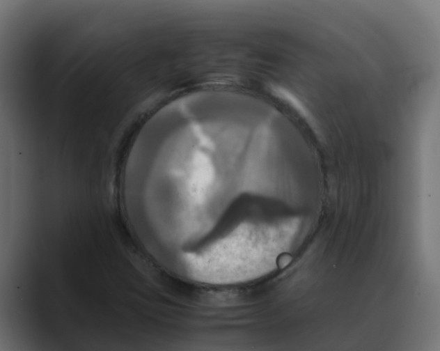 X0000088481403200706191358