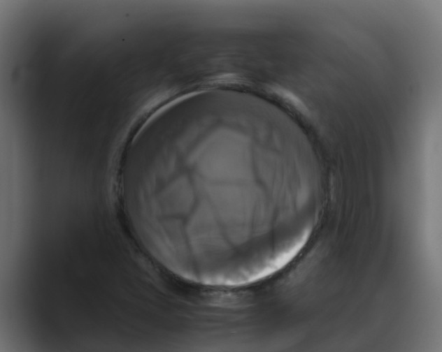 X0000088481405200706191358