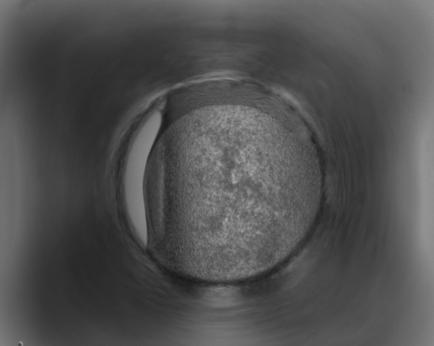 X0000088481406200706191358