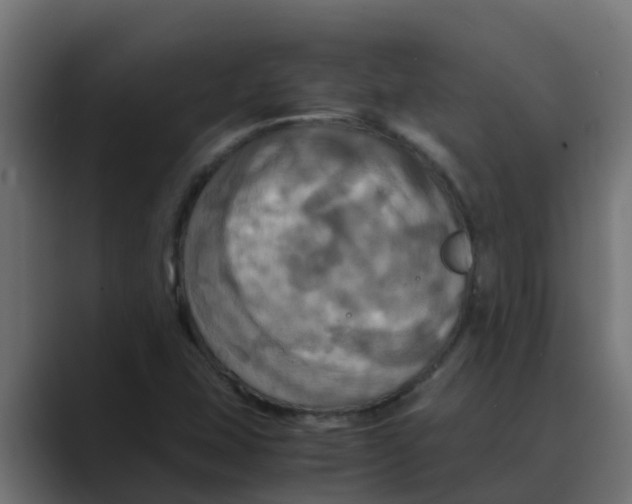 X0000088481407200706191358