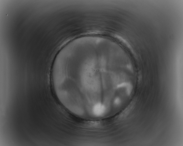 X0000088481409200706191358