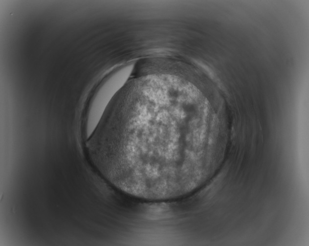 X0000088481410200706191358