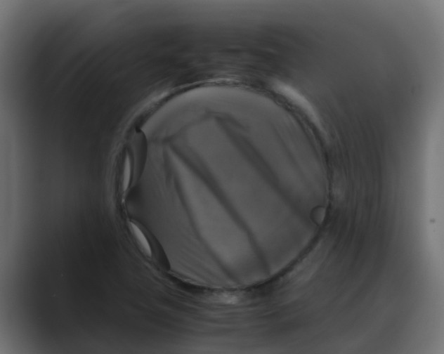 X0000088481411200706191358