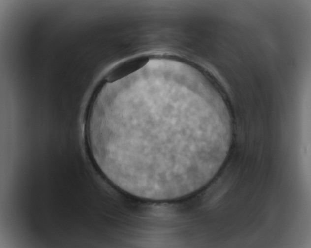 X0000088481416200706191358