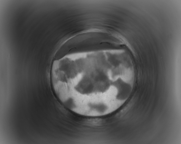 X0000088481417200706191358