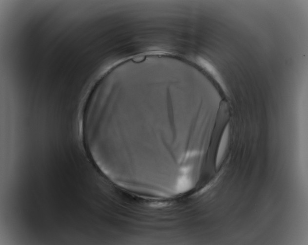 X0000088481419200706191358