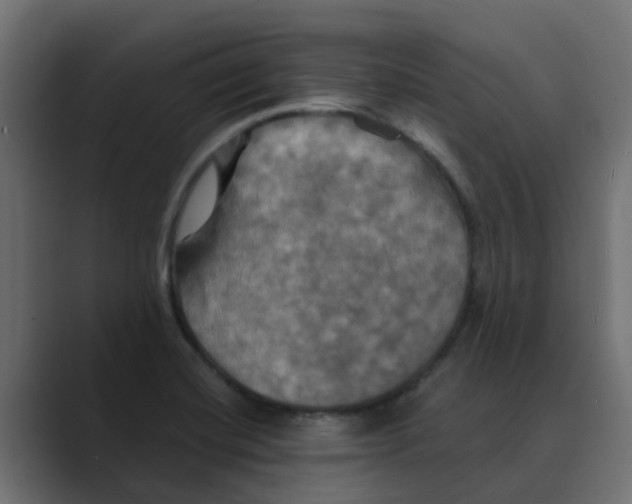 X0000088481420200706191358