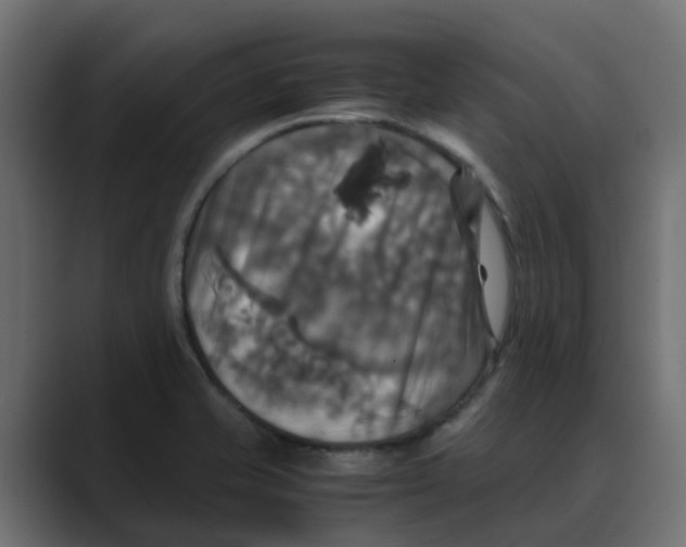 X0000088481421200706191358