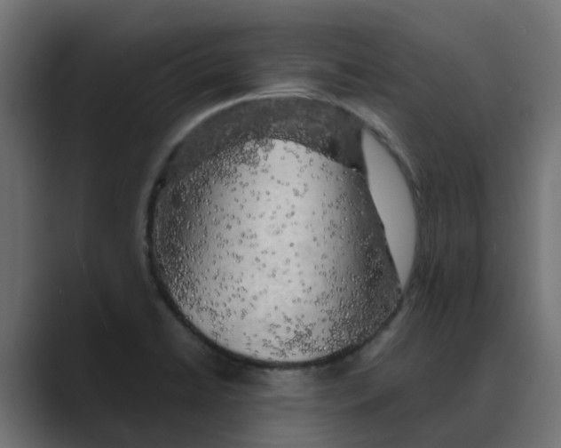 X0000088481422200706191358