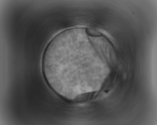 X0000088481423200706191358