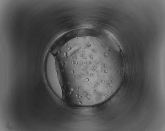 X0000088481426200706191358