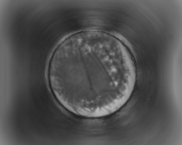 X0000088481429200706191358