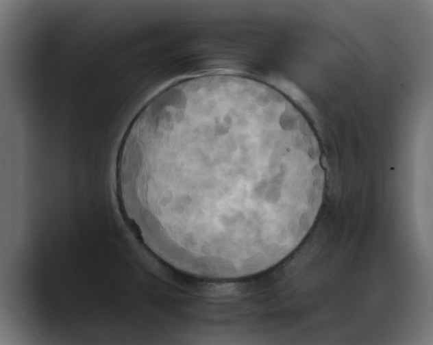 X0000088481431200706191358