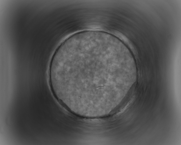 X0000088481432200706191359