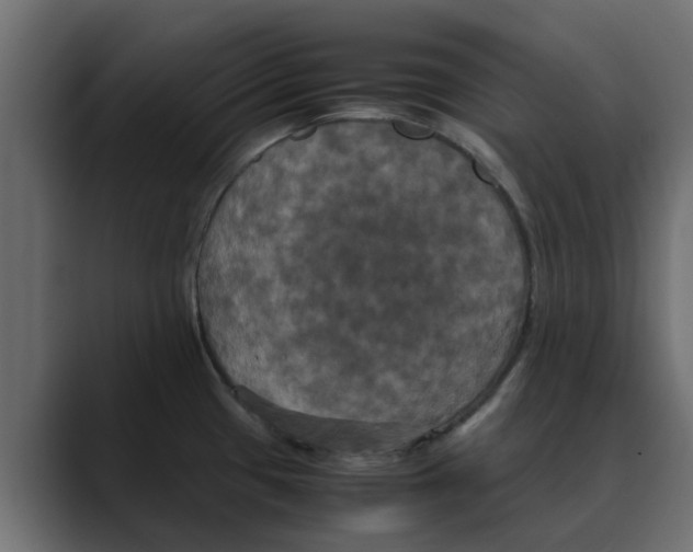 X0000088481433200706191359