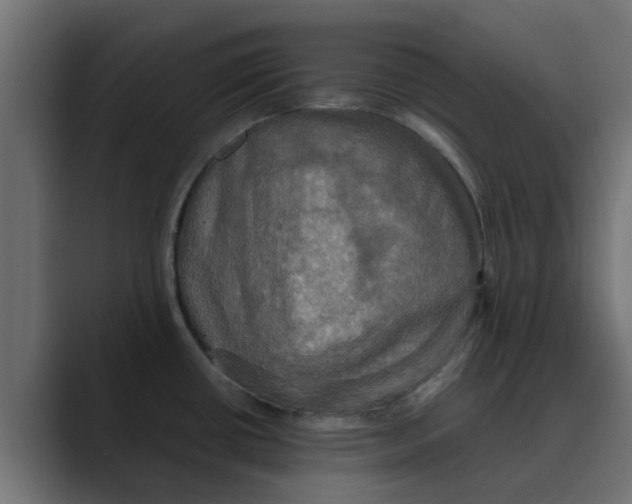 X0000088481434200706191359