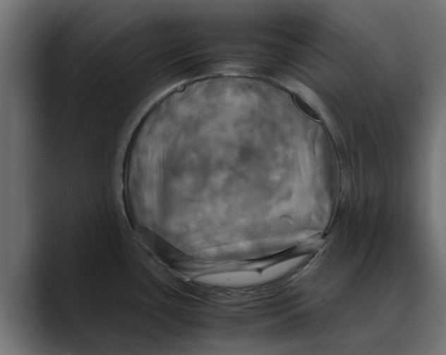 X0000088481435200706191359