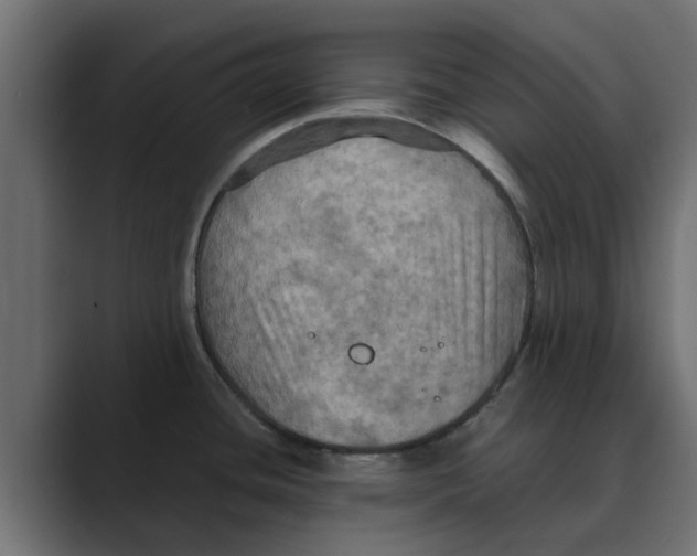 X0000088481436200706191359