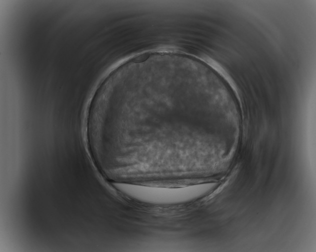 X0000088481437200706191359