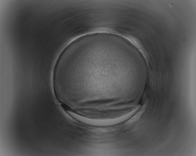 X0000088481438200706191359