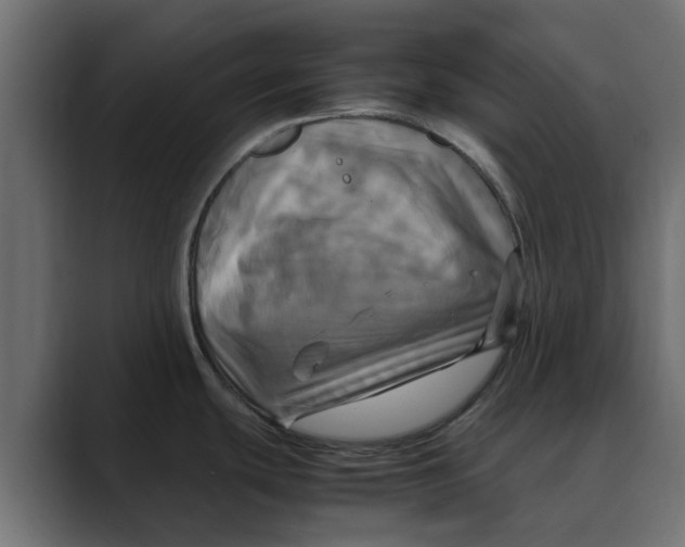 X0000088481439200706191359