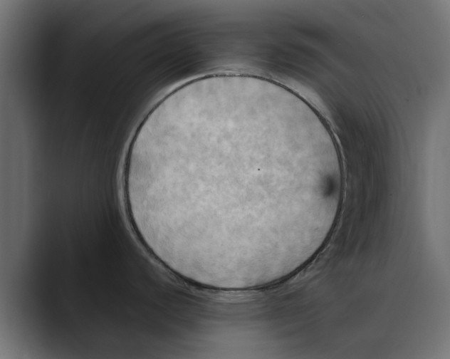 X0000088481440200706191359