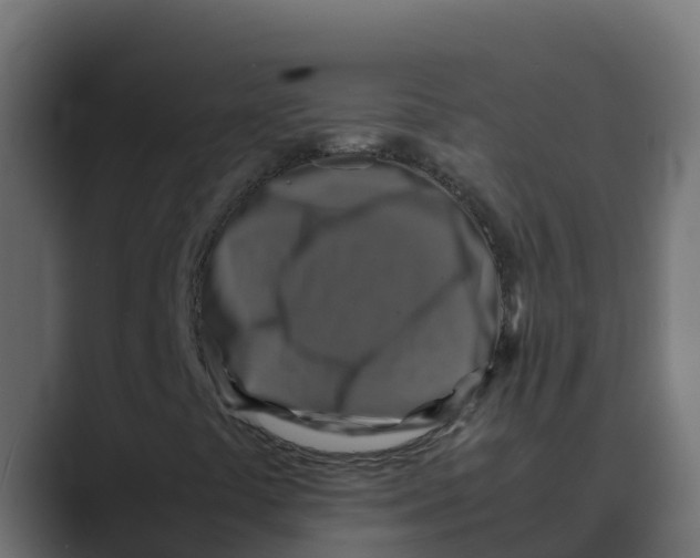 X0000088481441200706191358