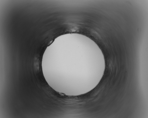 X0000088481442200706191358