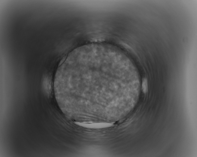 X0000088481444200706191358