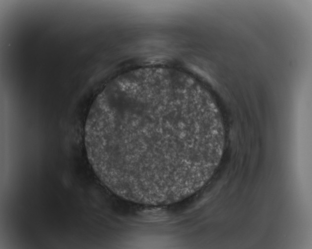 X0000088481447200706191358