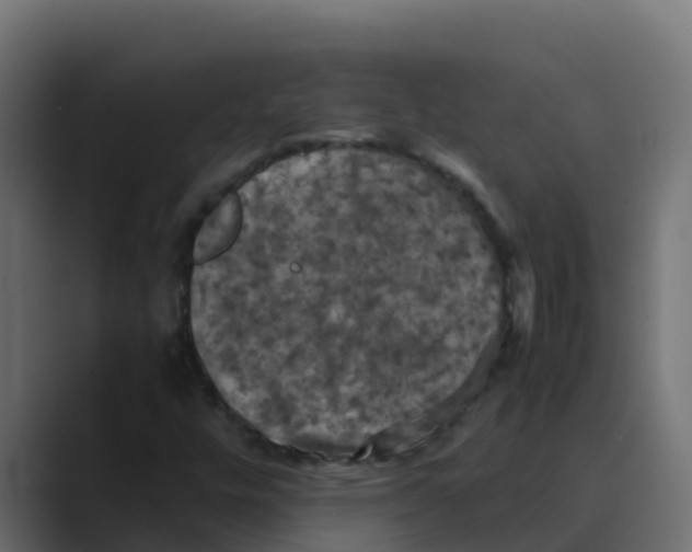 X0000088481448200706191358