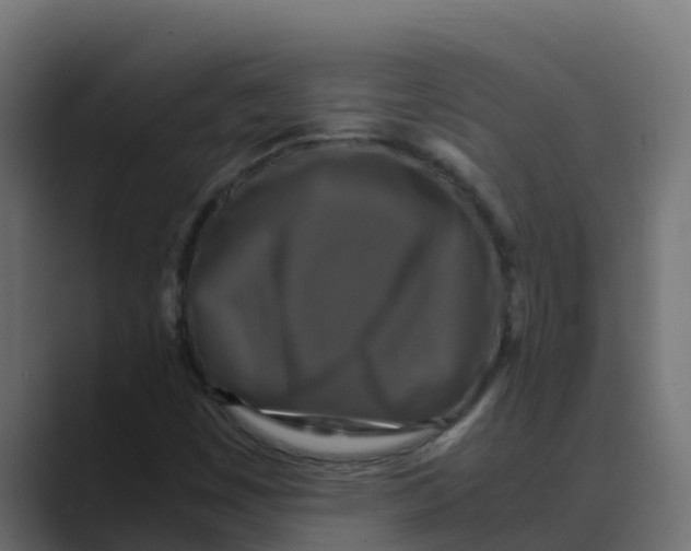 X0000088481449200706191358