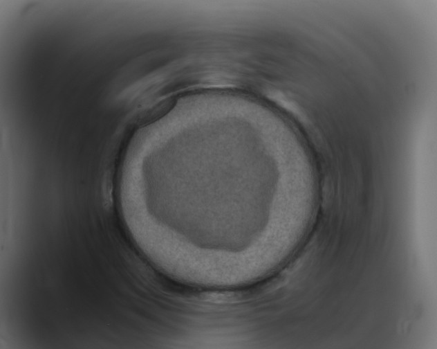 X0000088481451200706191358