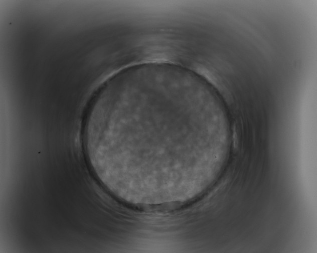 X0000088481452200706191358