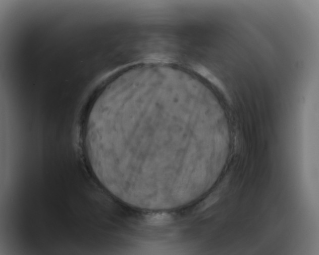 X0000088481454200706191358