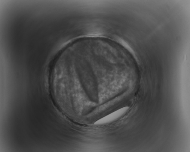 X0000088481456200706191358