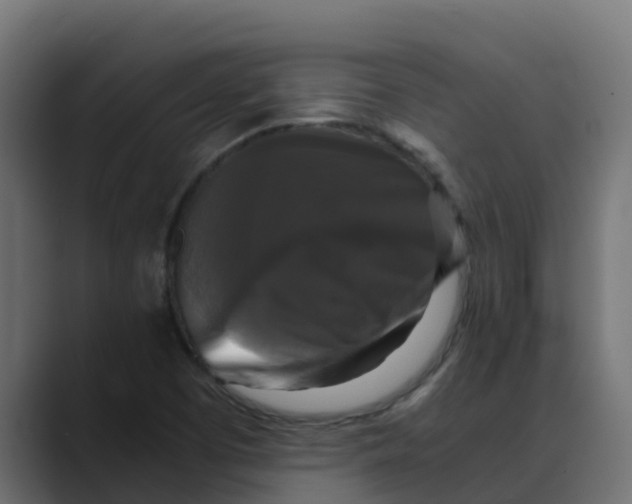 X0000088481457200706191358