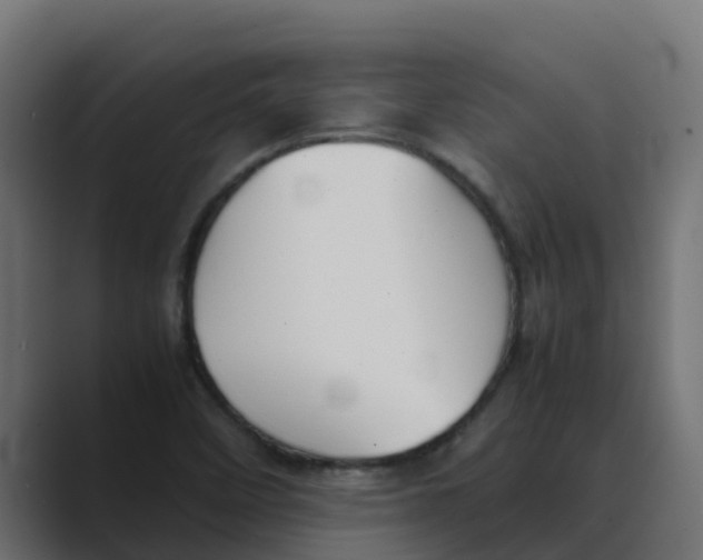 X0000088481458200706191358