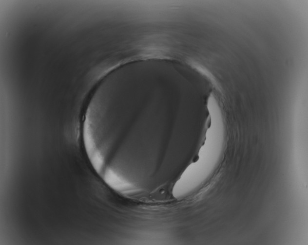 X0000088481461200706191358