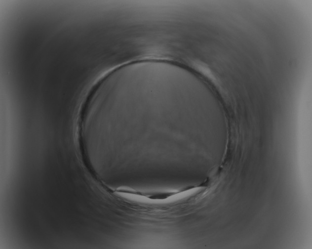 X0000088481463200706191358