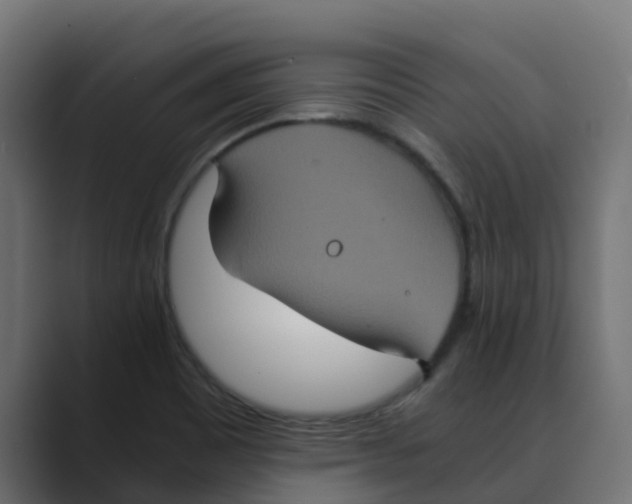 X0000088481465200706191358