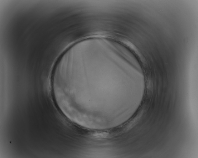 X0000088481466200706191358