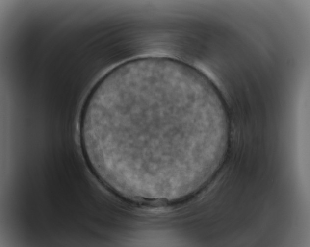 X0000088481468200706191358