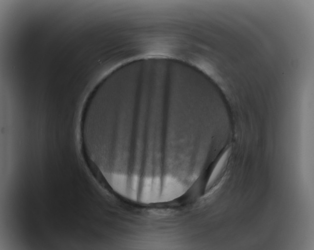 X0000088481469200706191358