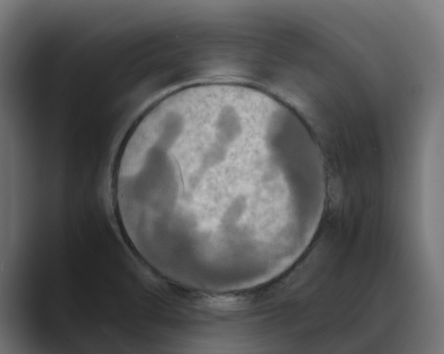 X0000088481470200706191358